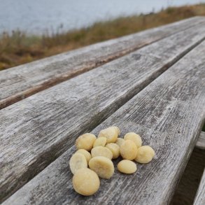 Ristede og krydret macadamian&oslash;dder